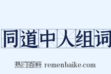 同道中人组词是什么意思的图片